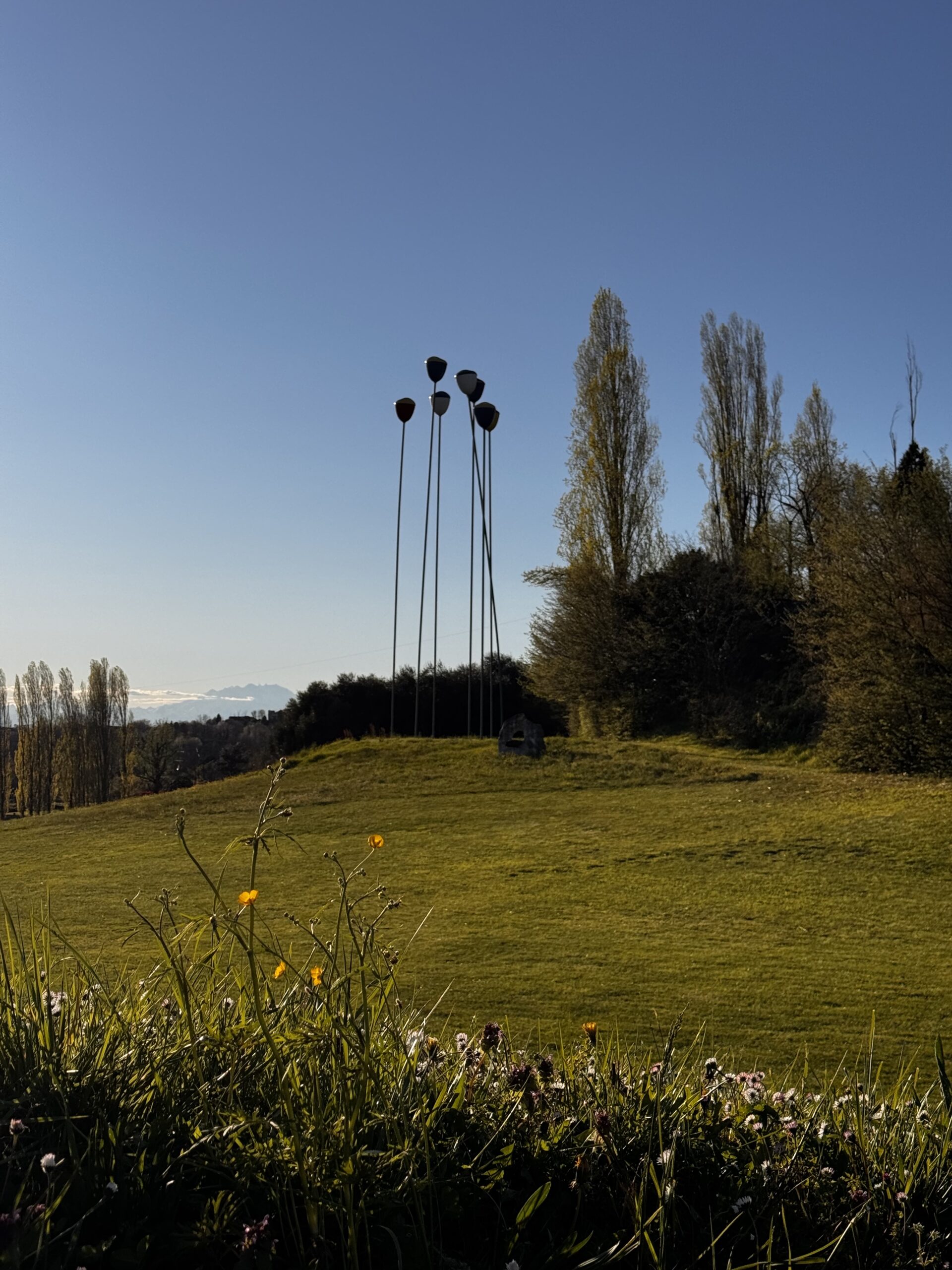 PASSEGGIATA DI RICONOSCIMENTO DELLE ERBE SPONTANEE